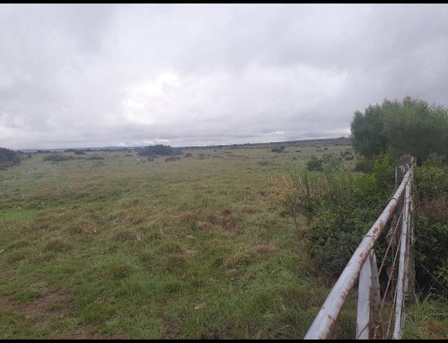 FARM FOR SALE IN MOSSEL BAY RURAL